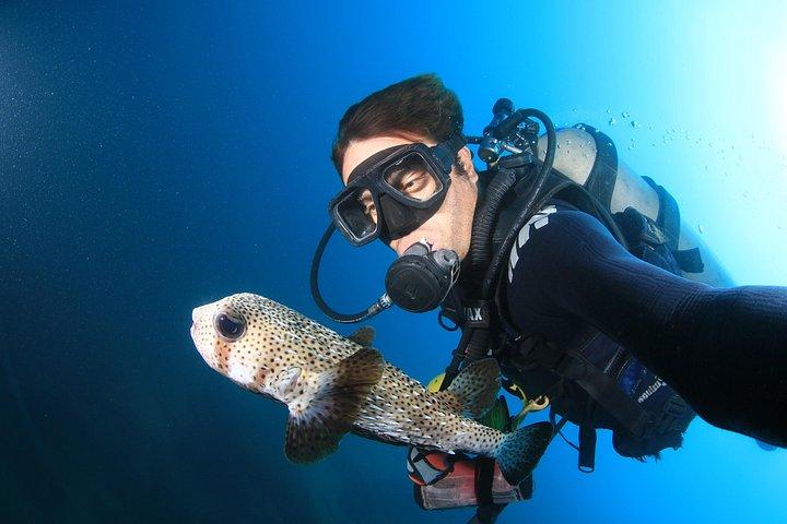 Learn to Scuba Dive in Cabo San Lucas with PADI