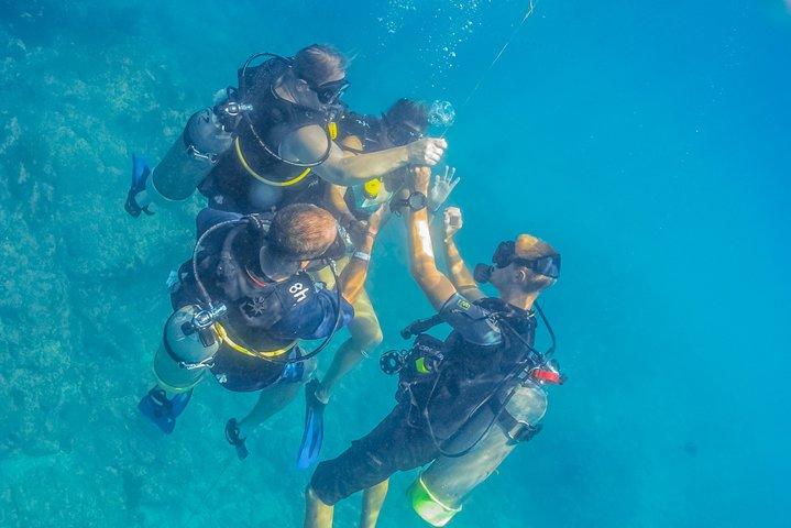 Impara a fare immersioni a Cabo San Lucas con PADI