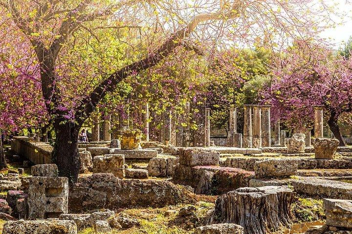 古代オリンピアギリシャツアー