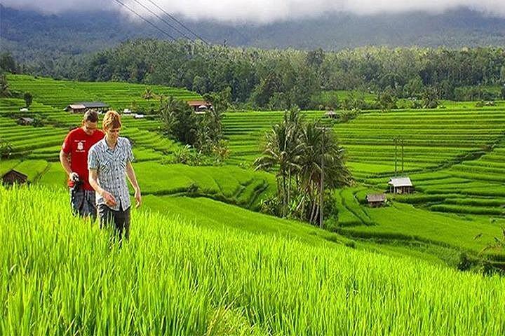 Bali Scenic & Must-visit Spot, Parte III