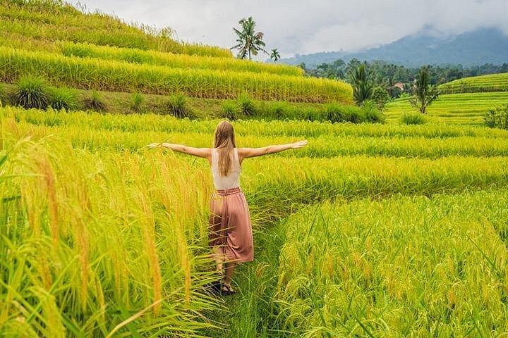 Bali Scenic & Must-visit Spot, Parte III