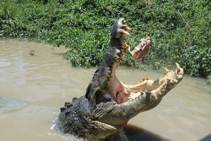 Litchfield e Jumping Crocodiles Full Day Trip de Darwin