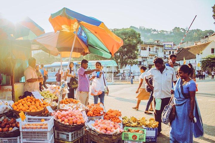 Solo trasporto - 12 giorni di andata e ritorno privato in Sri Lanka