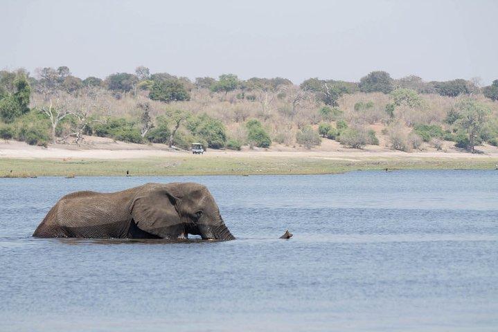 2-dagars Chobe Park Safari Tour med övernattning vid Victoria Falls