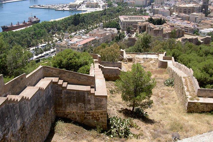 Privat 9-timers udflugt fra Motril Cruise Port til Malaga