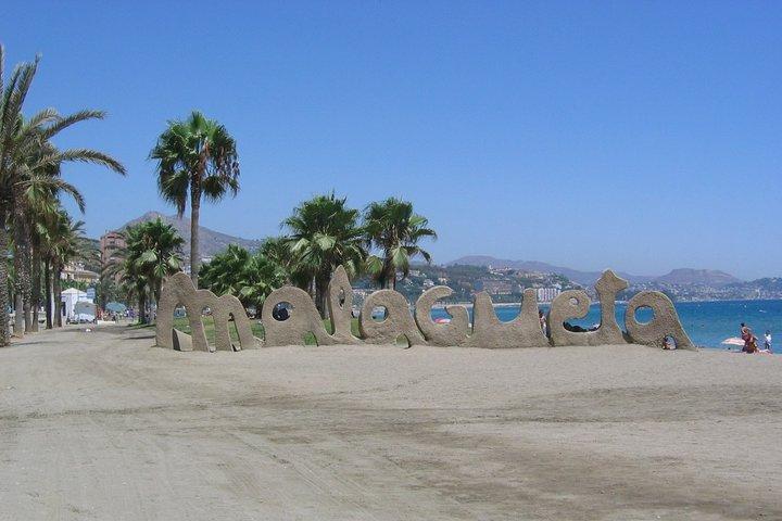 Privat 9-timers udflugt fra Motril Cruise Port til Malaga