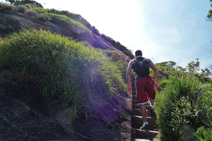 リオデジャネイロでのTijuca Rainforestハイキングツアー
