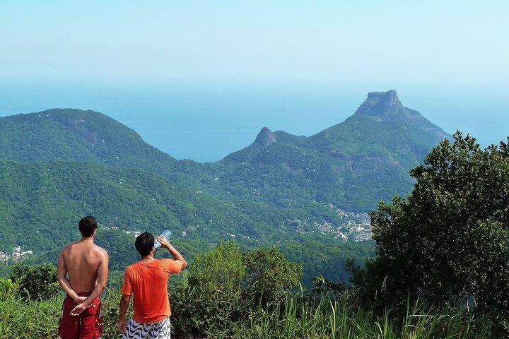 リオデジャネイロでのTijuca Rainforestハイキングツアー