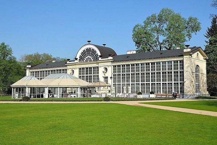 ワジェンキ公園 + ヴィラヌフのヤン 3 世宮殿博物館: 少人数グループ / ピックアップ /