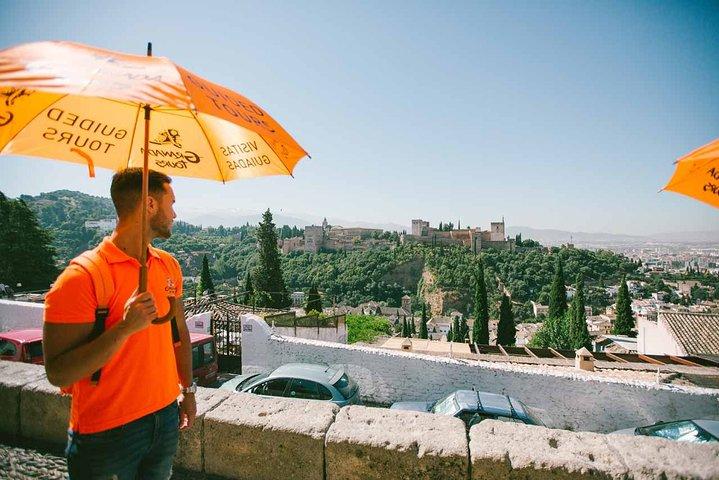 Private Walking Tour in Granada