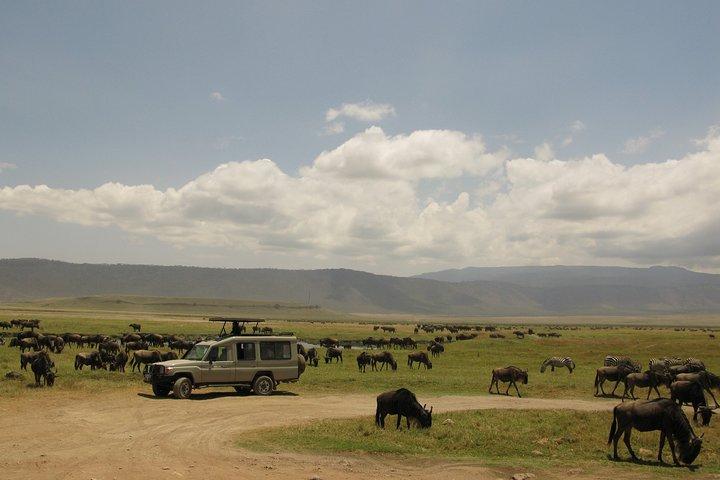 3-daagse Masai Mara Safari (middenklasse accommodatie)
