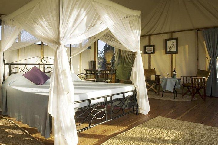 3-daagse Masai Mara Safari (middenklasse accommodatie)