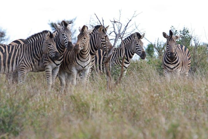 Private return transfers from Cape Town to Sanbona Wildlife Reserve