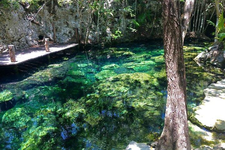Traslado privado a cenotes en Riviera Maya