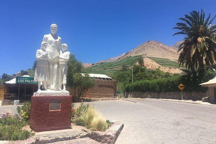 Valle del Elqui Clásico (Entre viñedos y Frutales)