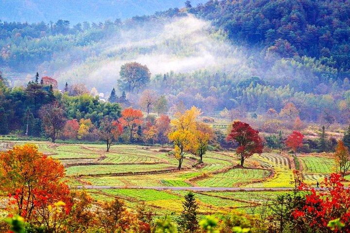 Visite privée de 2 jours à Huangshan: la montagne jaune et l'ancien village de Xidi