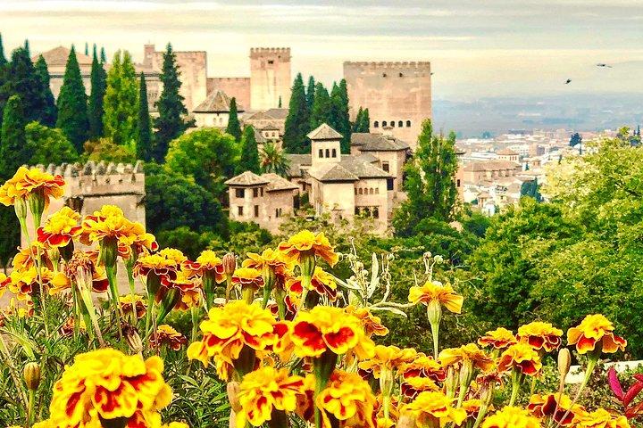 Visite privée de l'Alhambra avec service de ramassage et billets