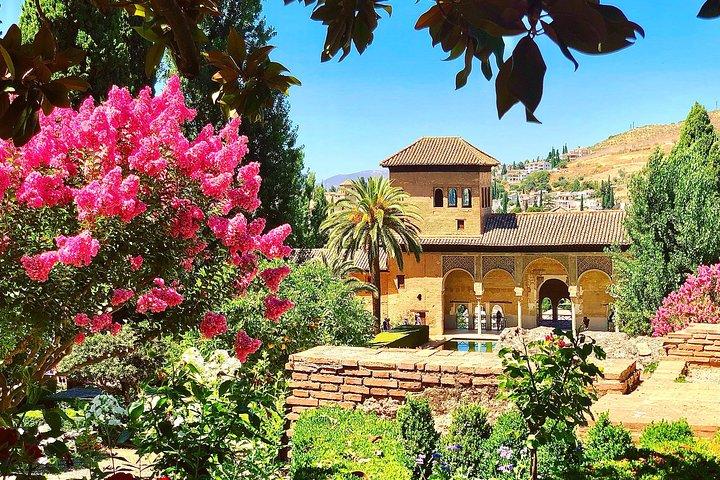 Visite privée de l'Alhambra avec service de ramassage et billets