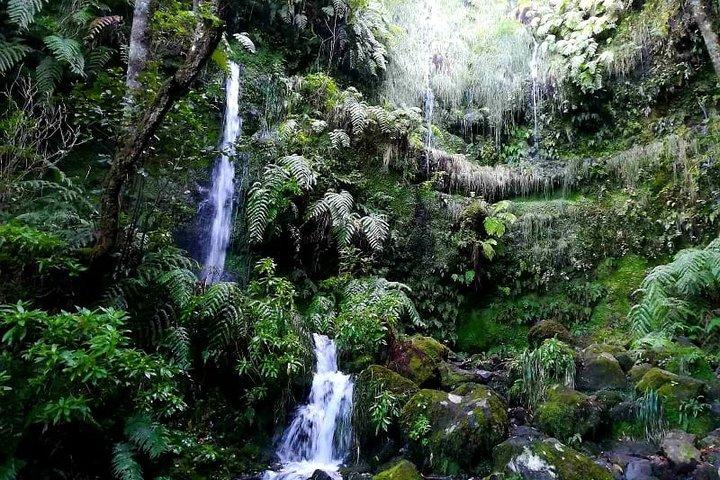 Queimadas-Caldeirão Verde