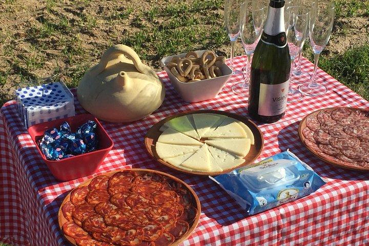 Heißluftballonfahrt in Segovia mit Toast, Picknick und Video