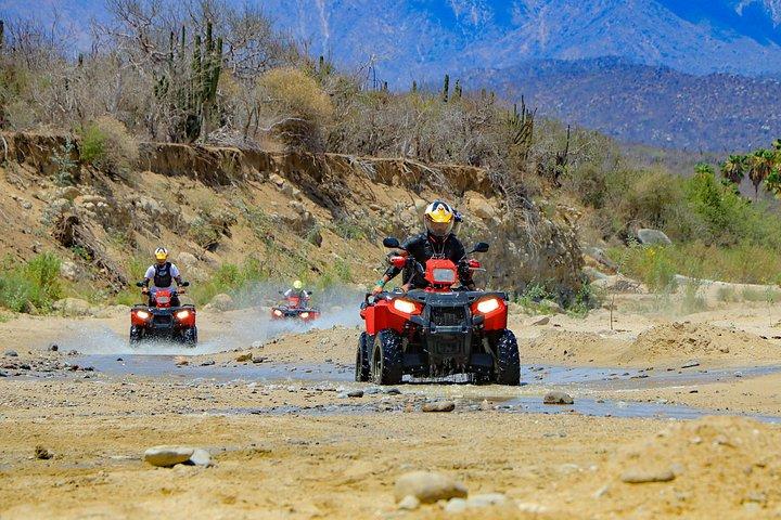 Cabo 4x4 ATVツアー（テキーラテイスティングとメキシカンビュッフェランチ付き）