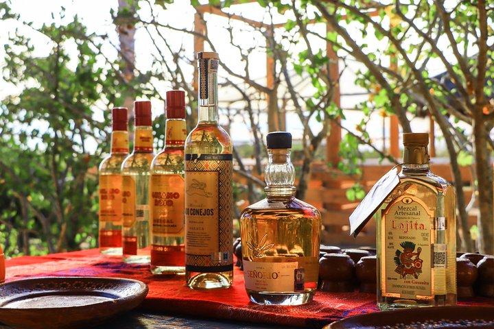 カボビーチキャメルライド、メキシカンビュッフェ、テキーラテイスティング