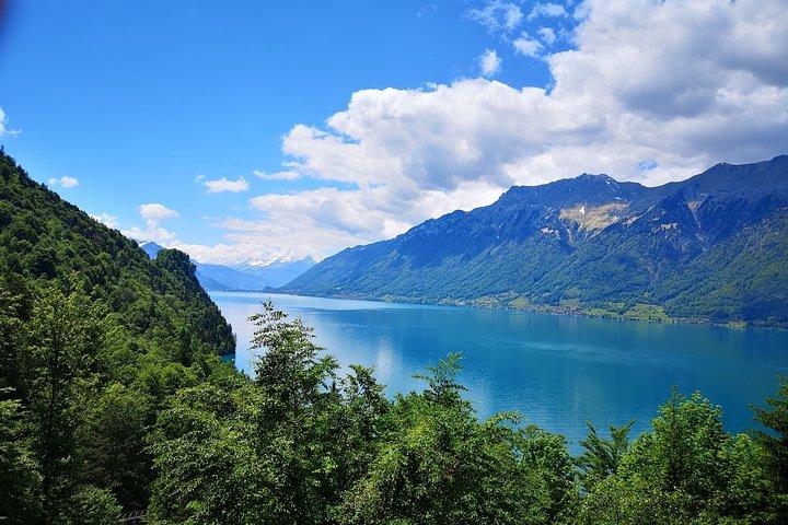Le meilleur de l'Oberland bernois depuis Bâle