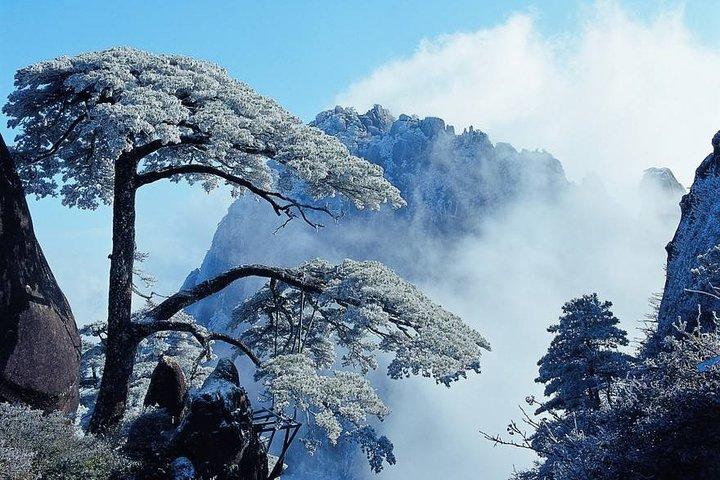 Visite privée d'une journée de photographie de la montagne jaune de Huangshan