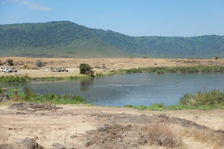 Ngorongoro äventyrsdagstur från Arusha