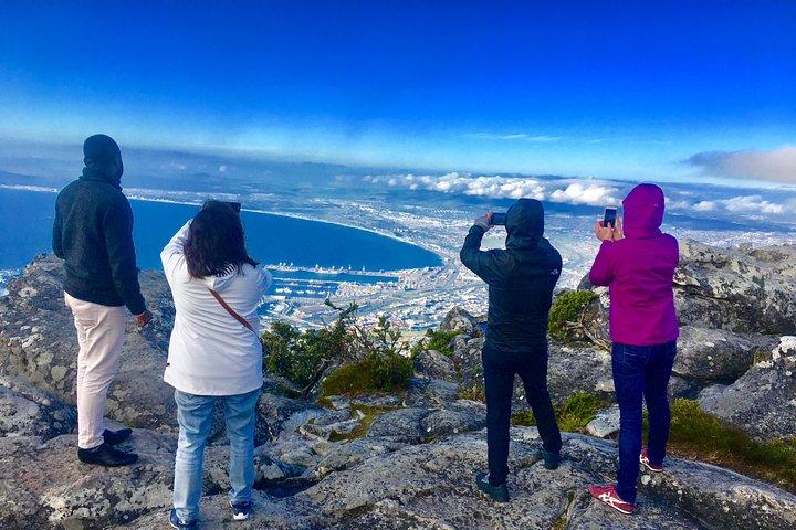 Privat tur: Taffelbjerget, Penguin Colony & Cape of Good Hope inkl. Parkafgifter