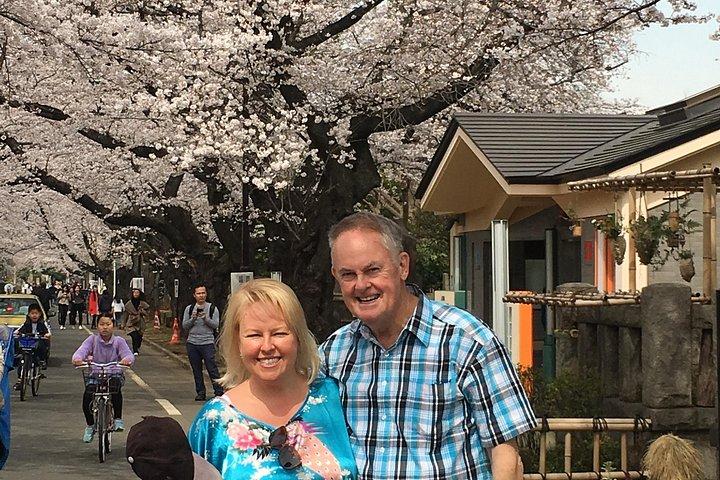 Tokyo Spring Daytime (Cherry Blossom) Food Tour