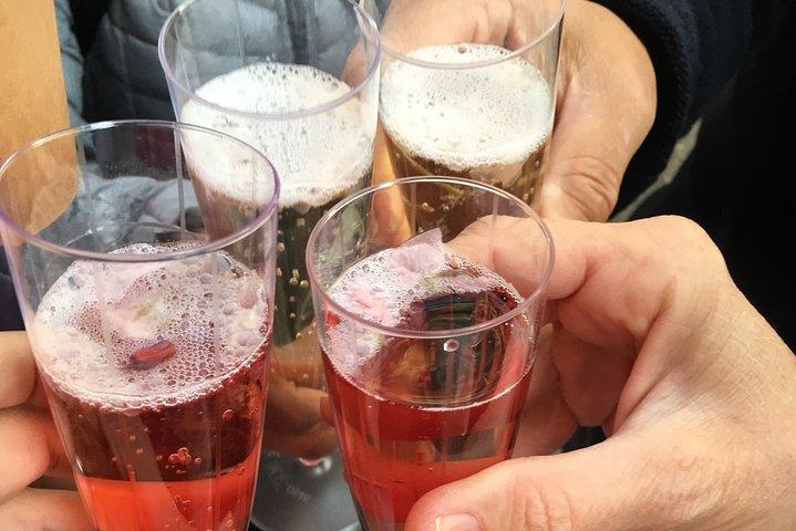 Evening Hanami (Cherry Blossom) Experience with a Local