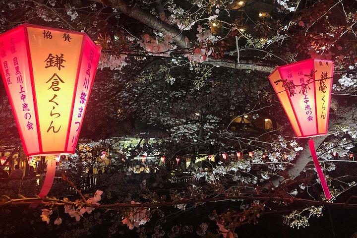 Evening Hanami (Cherry Blossom) Experience with a Local