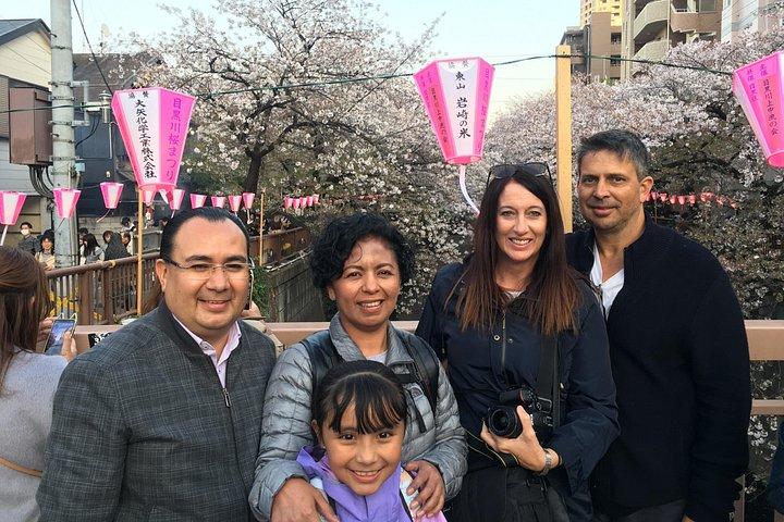 Evening Hanami (Cherry Blossom) Experience with a Local