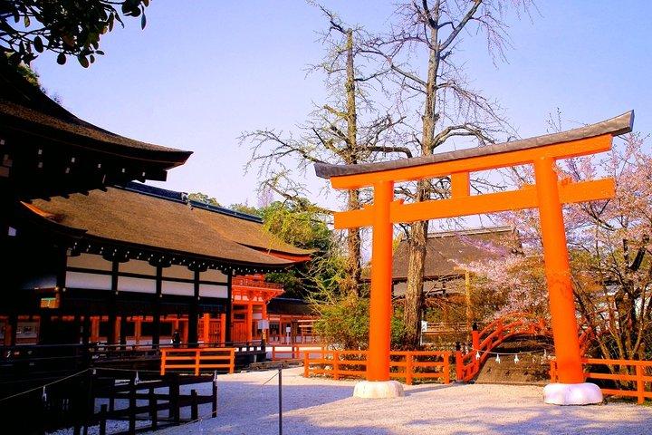 京都春の夜（桜）フードツアー