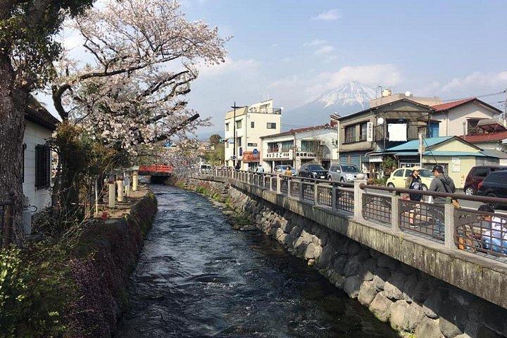 新幹線と富士山名物グルメツアー