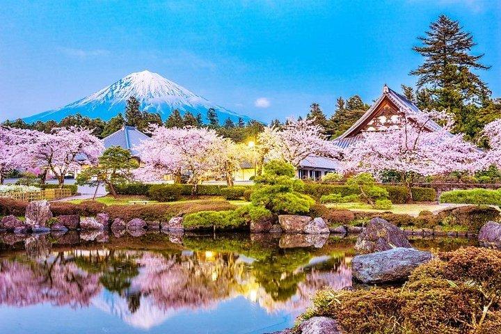 新幹線と富士山名物グルメツアー