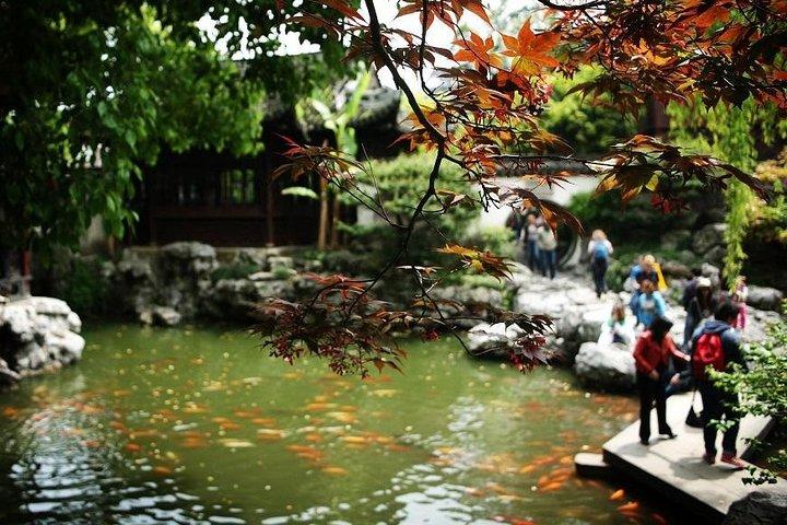 Tour privato della Shanghai Totole Food Company con punti salienti della città