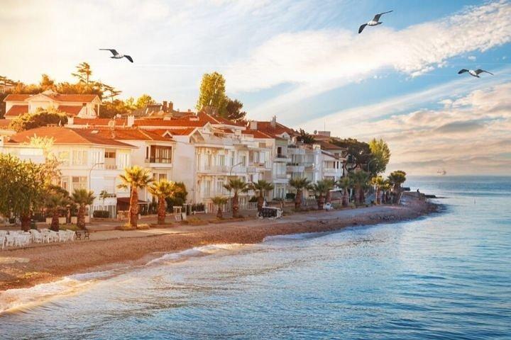Heldags privat luksusyachtkrydstogt til Princes' Island og/eller Bosporus