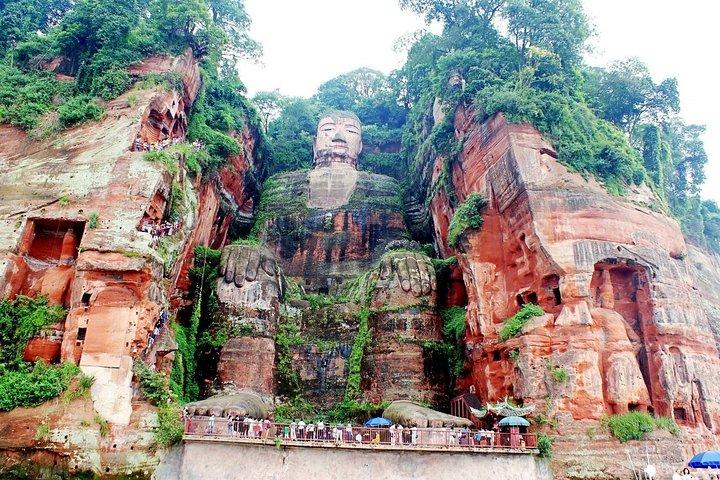 2-dages Chengdu Giant Panda, Leshan Buddha privat tur fra Xi'an med Bullet Train