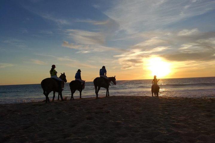 Maravilhoso Sundown Beach Ride a cavalo! MÍNIMO DE 2 PARTICIPANTES