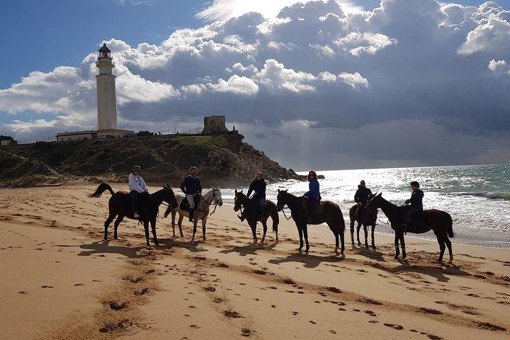 Maravilhoso Sundown Beach Ride a cavalo! MÍNIMO DE 2 PARTICIPANTES