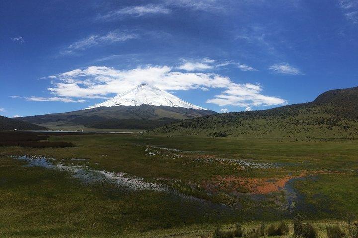 Volcán Cotopaxi (Excursión PRIVADA de un día desde Quito)