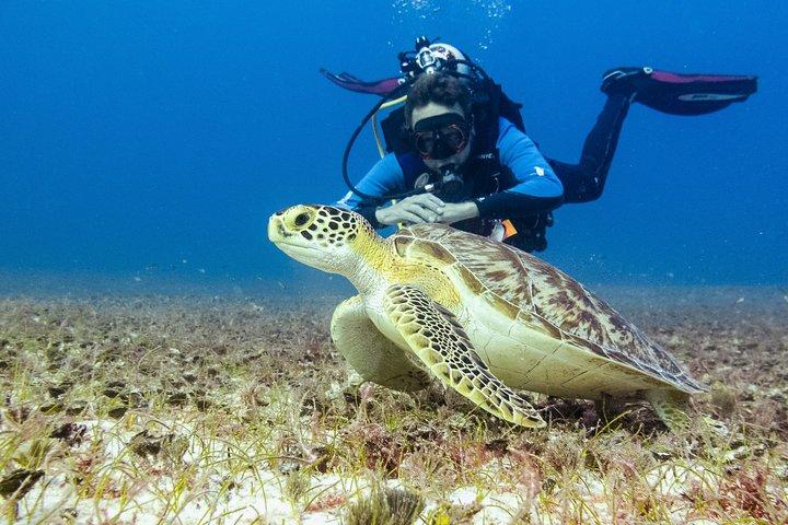 Half-Day Scuba Diving in Playa del Carmen for Small-Group