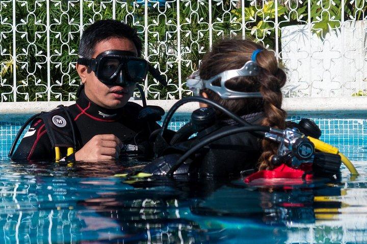 Two reef discovery dives with professional instructor (no experience necessary)