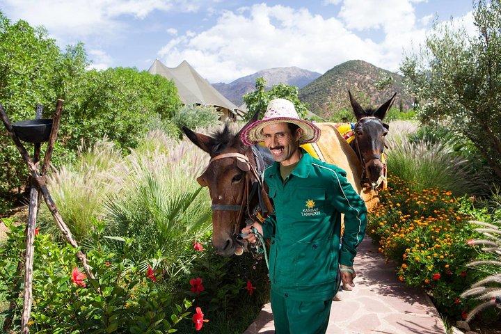 Marrakech: Atlas Mountains Day Trip, 3 Valleys and waterfall Tour