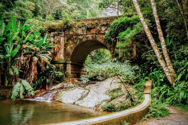 Tijuca Forest Challenge Full-Day Hike (Small-Group or Private)