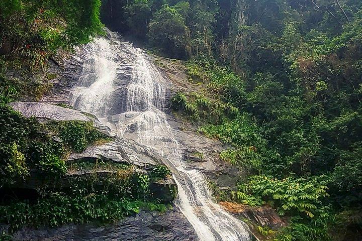 Tijuca Forest Challenge Full-Day Hike (Small-Group or Private)