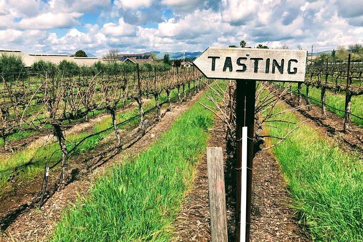 Excursão privada personalizada de 6 horas ao LIVERMORE Valley Wine, saindo da área da baía de São Francisco