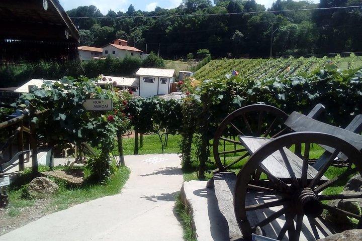 Route der Weingüter São Roque ab São Paulo
